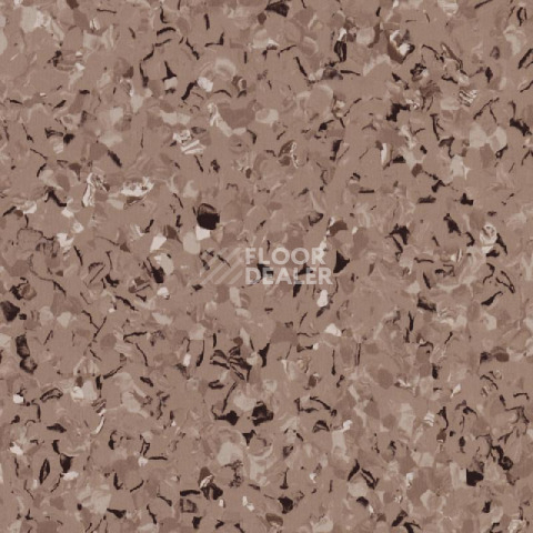 Линолеум Tarkett iq Toro Sc LIGHT BROWN 0574 фото 1 | FLOORDEALER